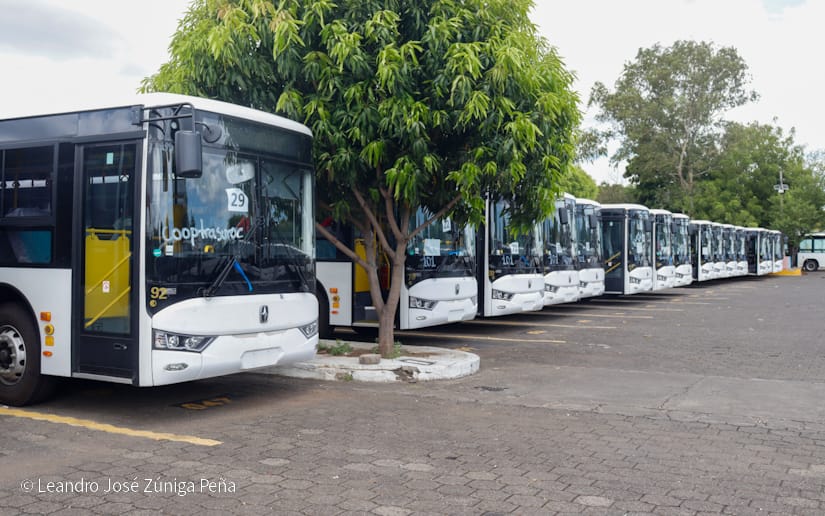 BUSES25