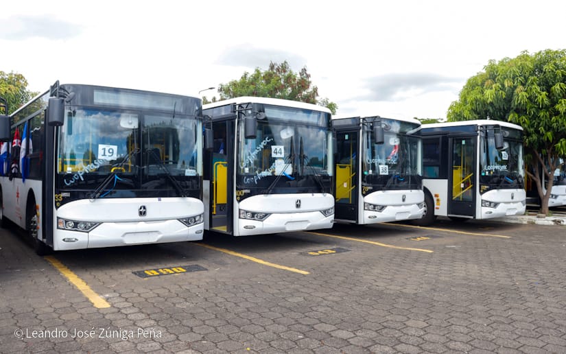 BUSES26