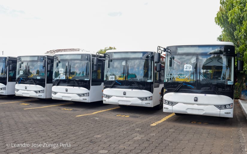 BUSES27