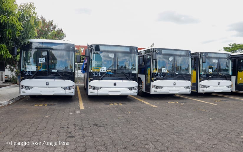 BUSES28