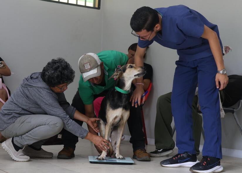 VETERINARIO1