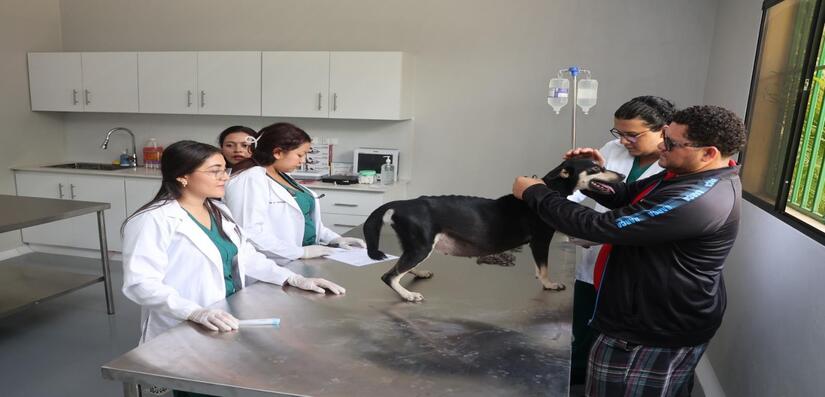 VETERINARIO7