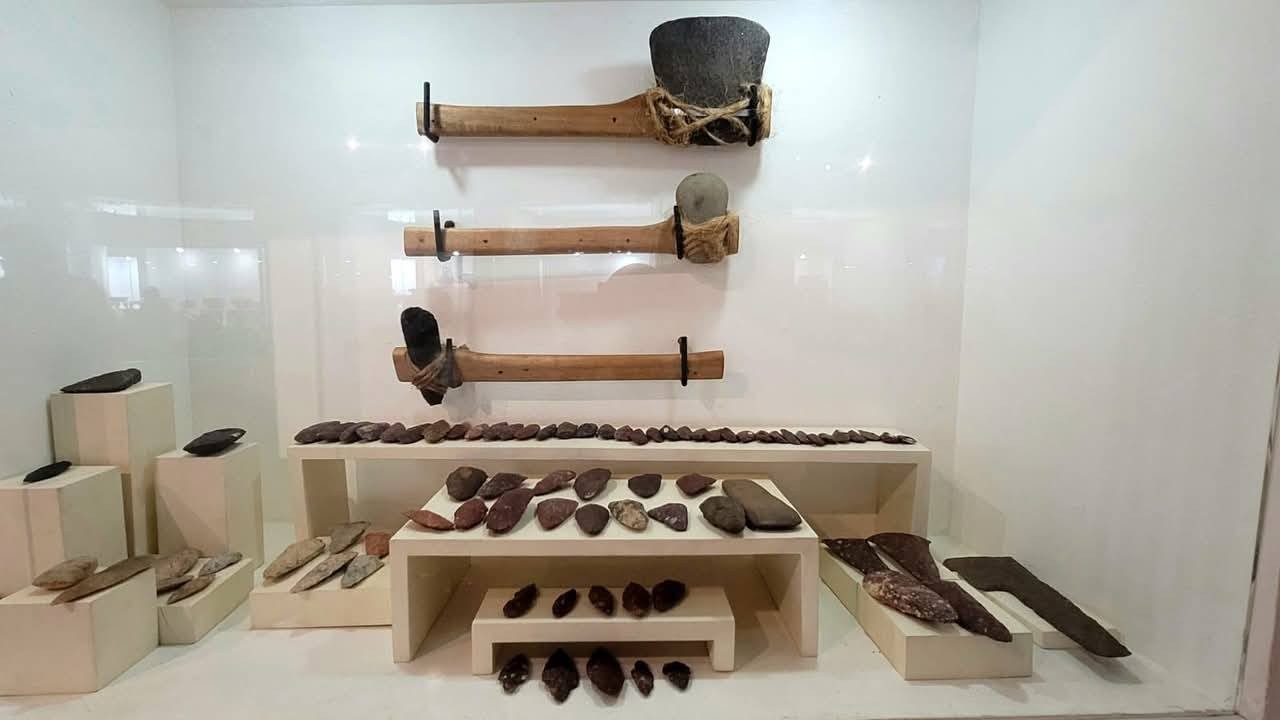 MUSEOS3