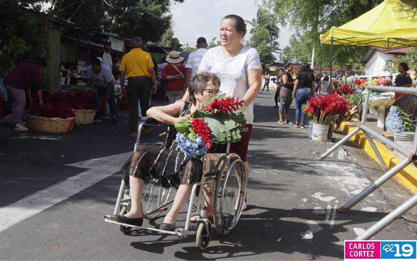 CEMENTERIO-(16)