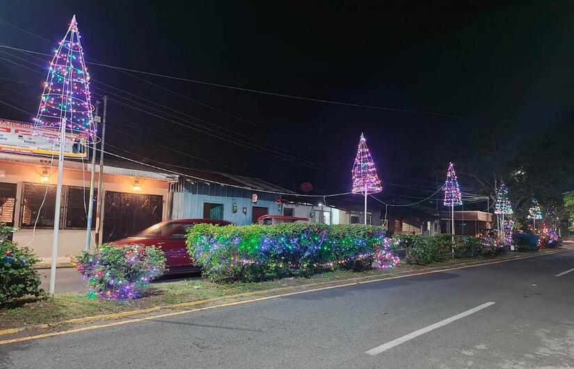ADORNOS15