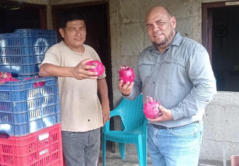 PITAHAYA1
