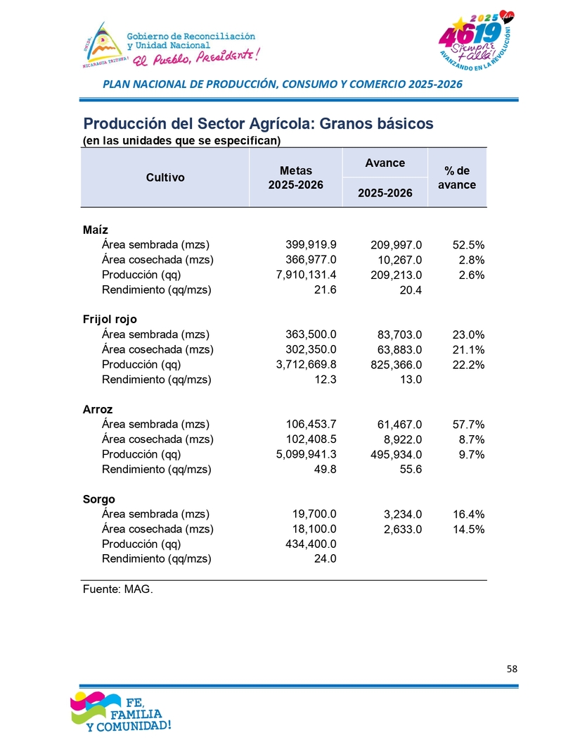 INFORME58
