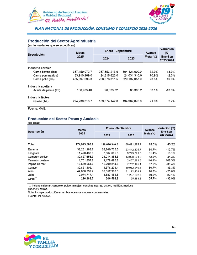 INFORME61