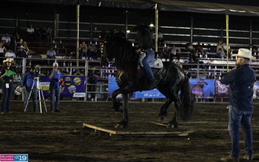 FERIA-(9)