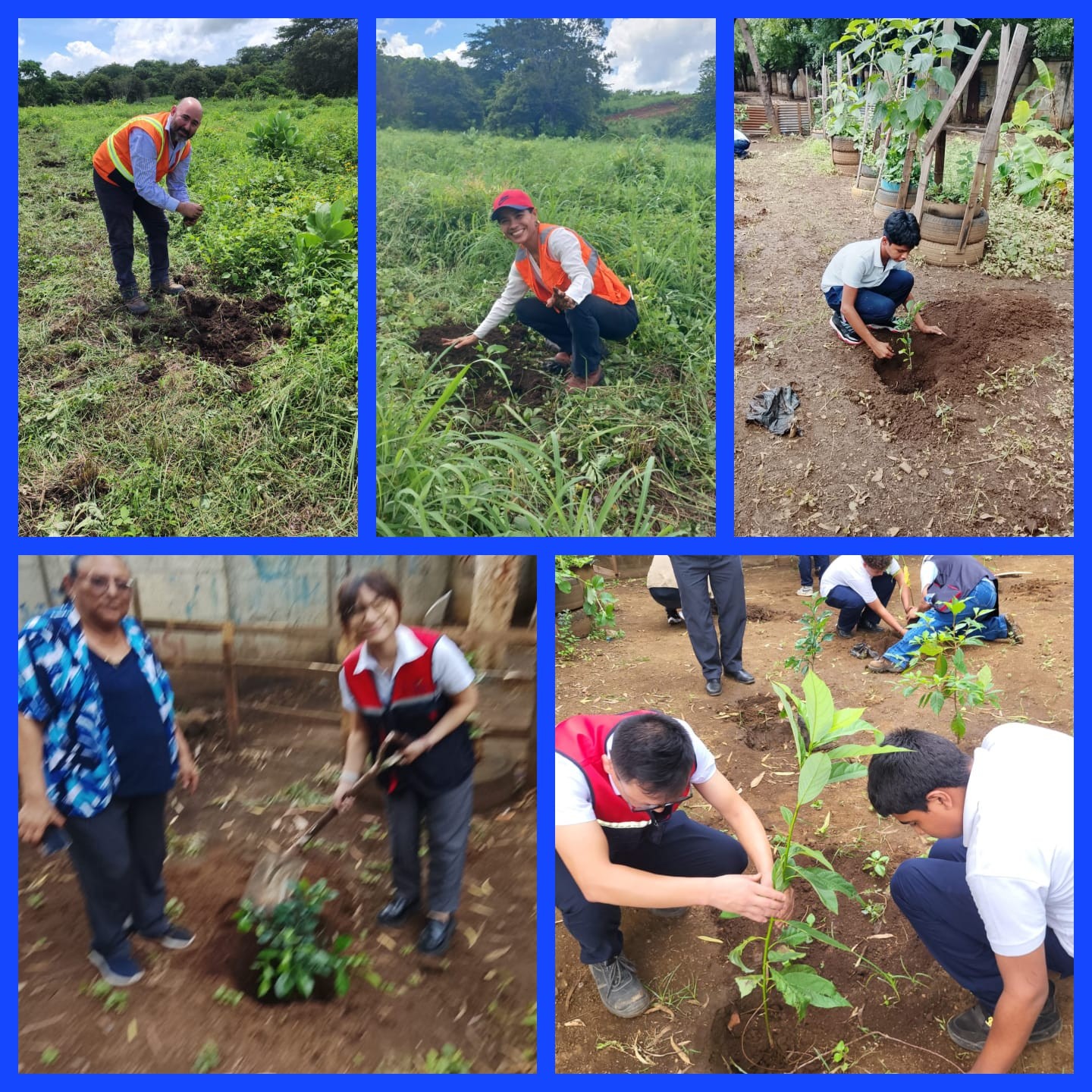 REFORESTACION3