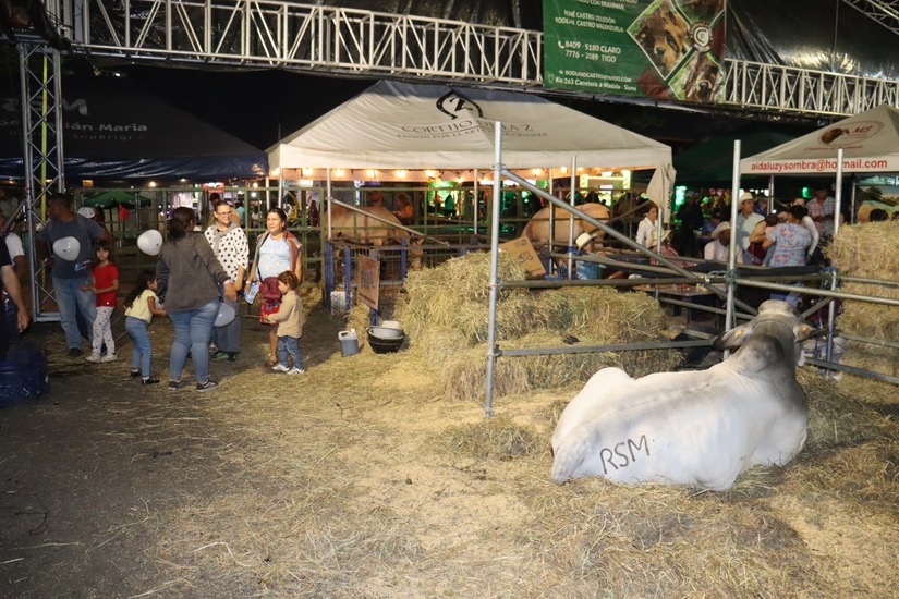 FERIA-(11)