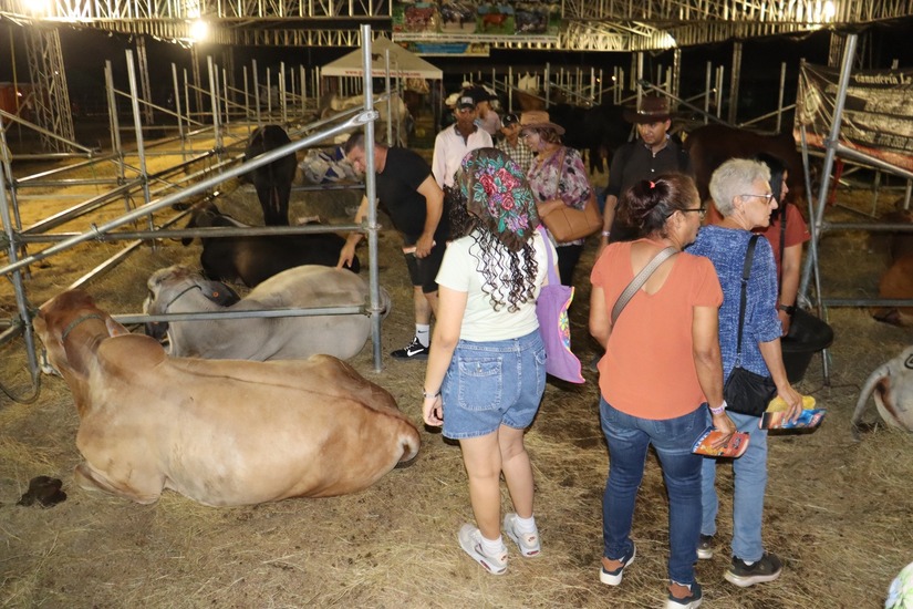 FERIA-(15)