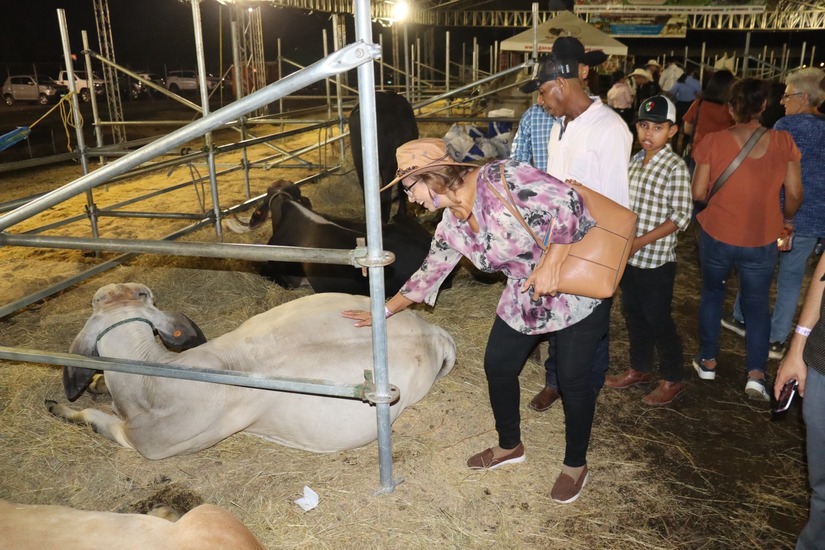 FERIA-(16)