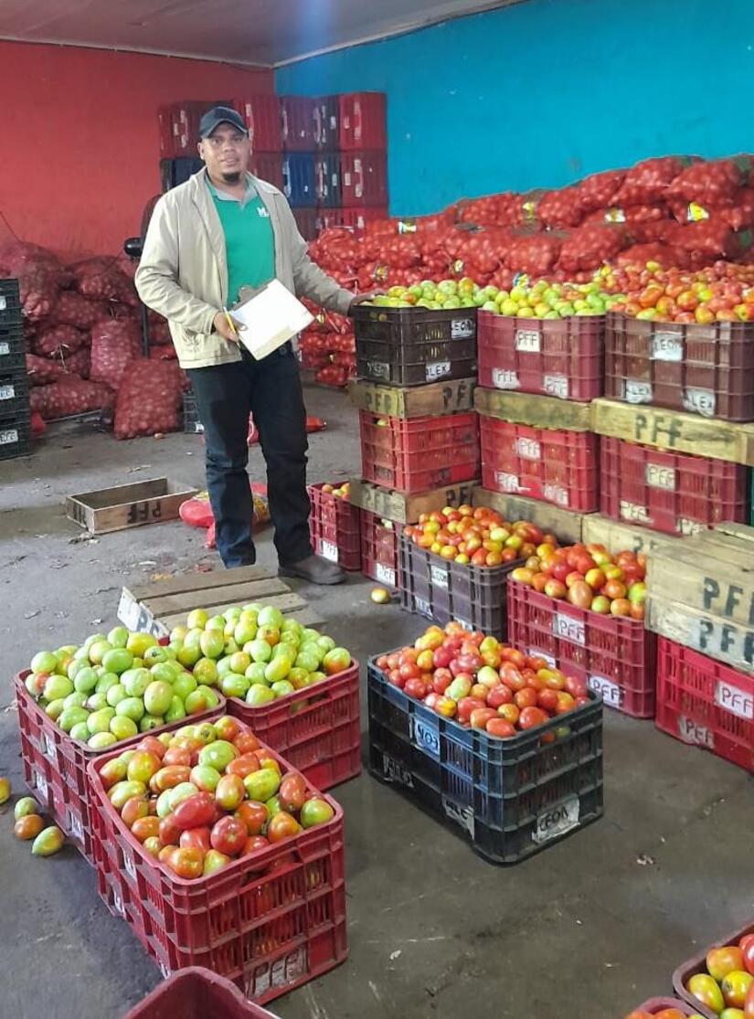 TOMATE4