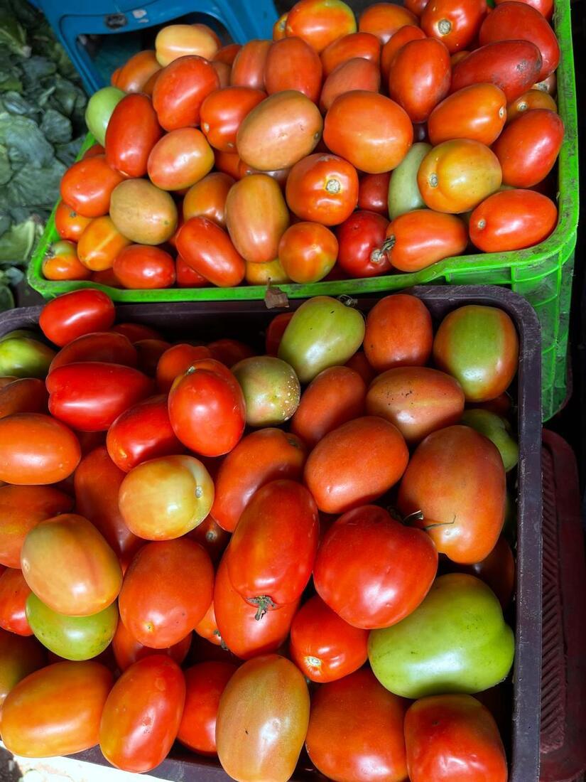 TOMATE6