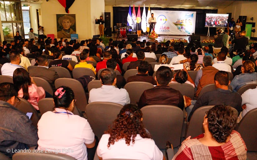 INDICE15