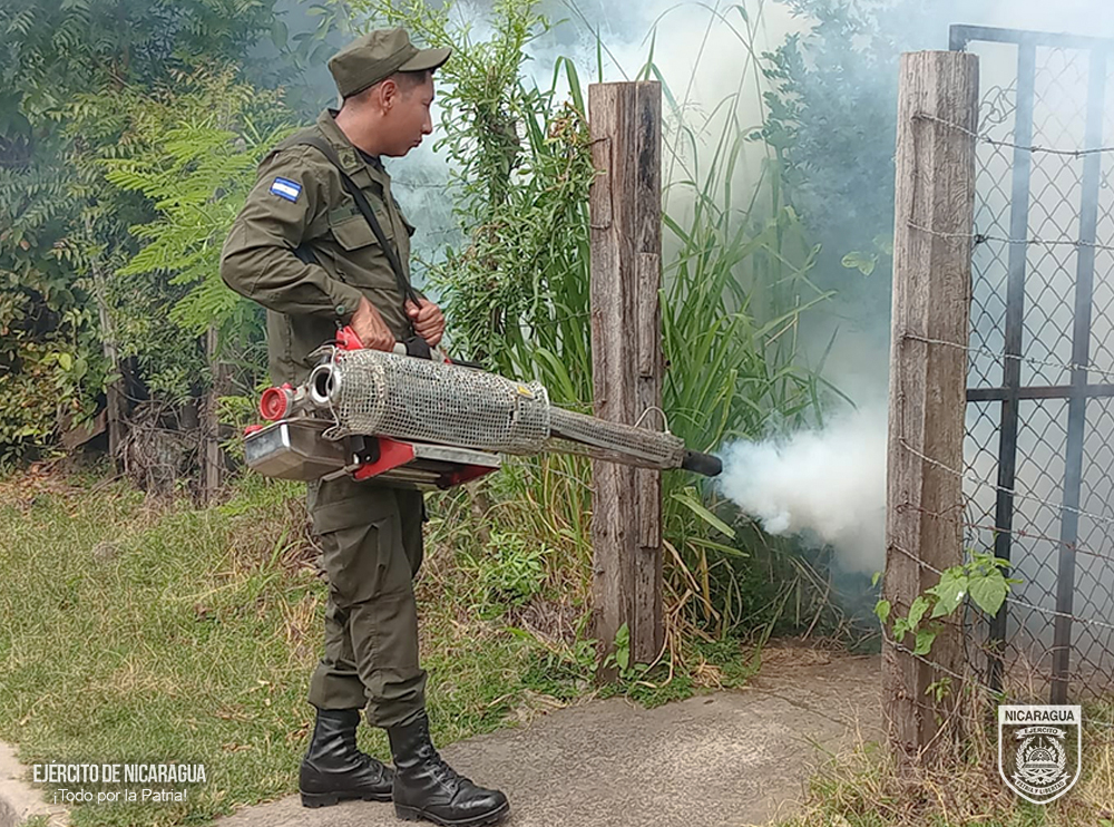 FUMIGACION2