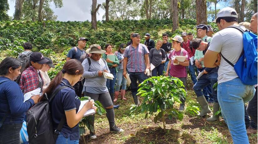 Jinotega-8