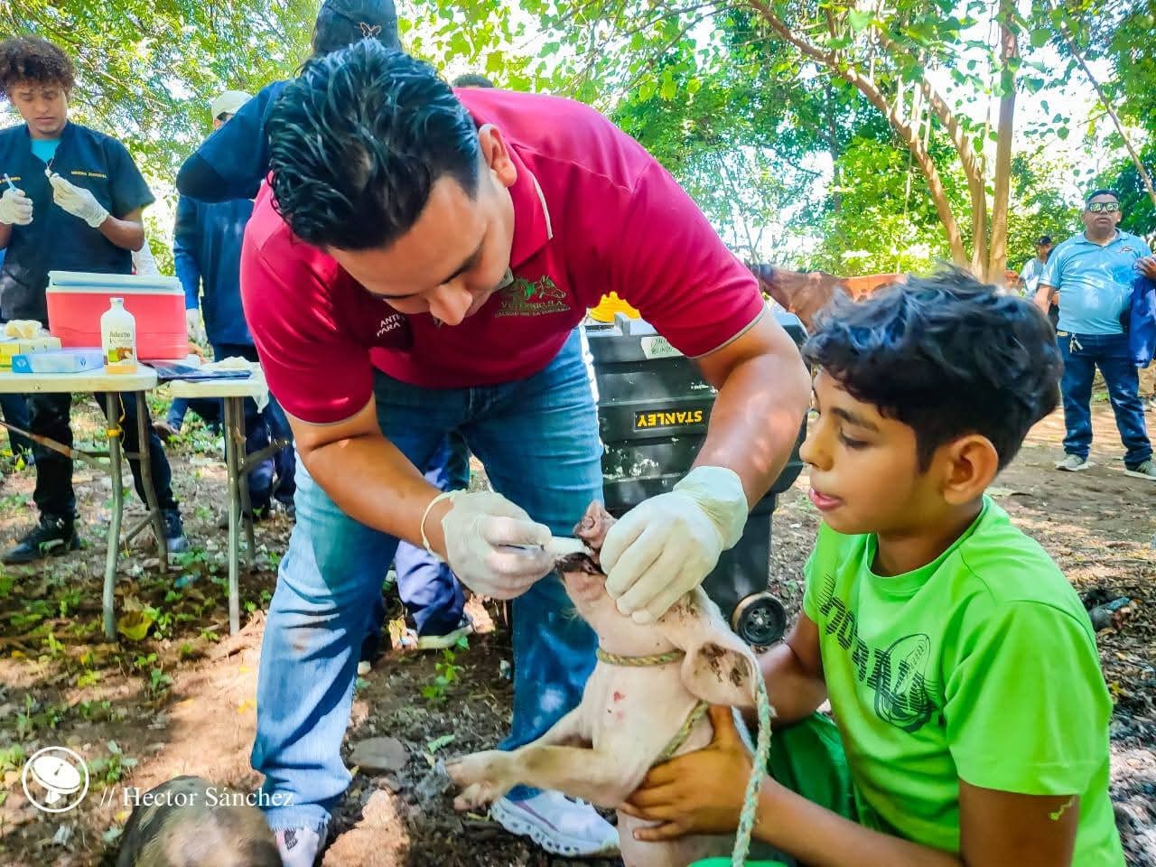 VETERINARIA1
