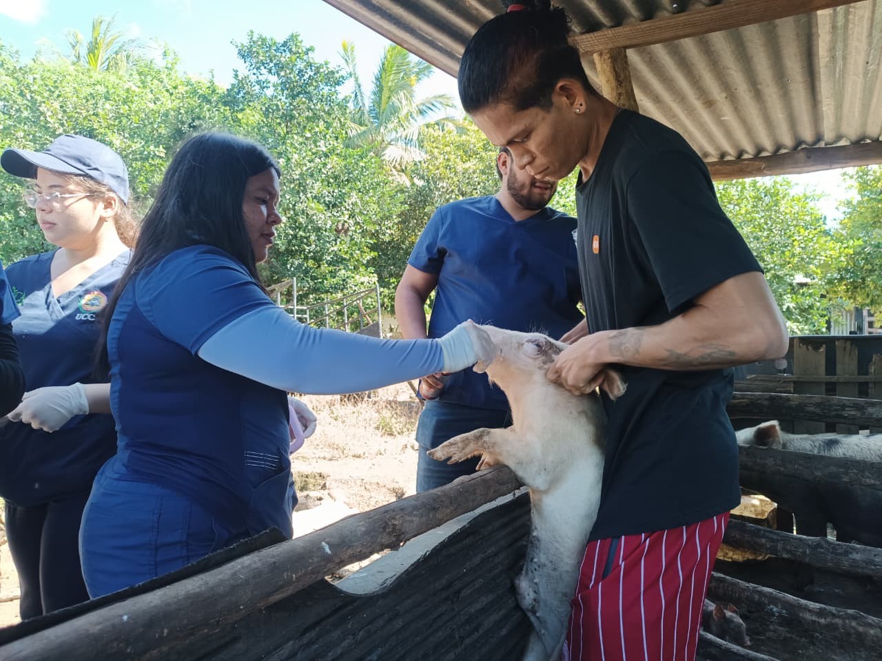 VETERINARIA6
