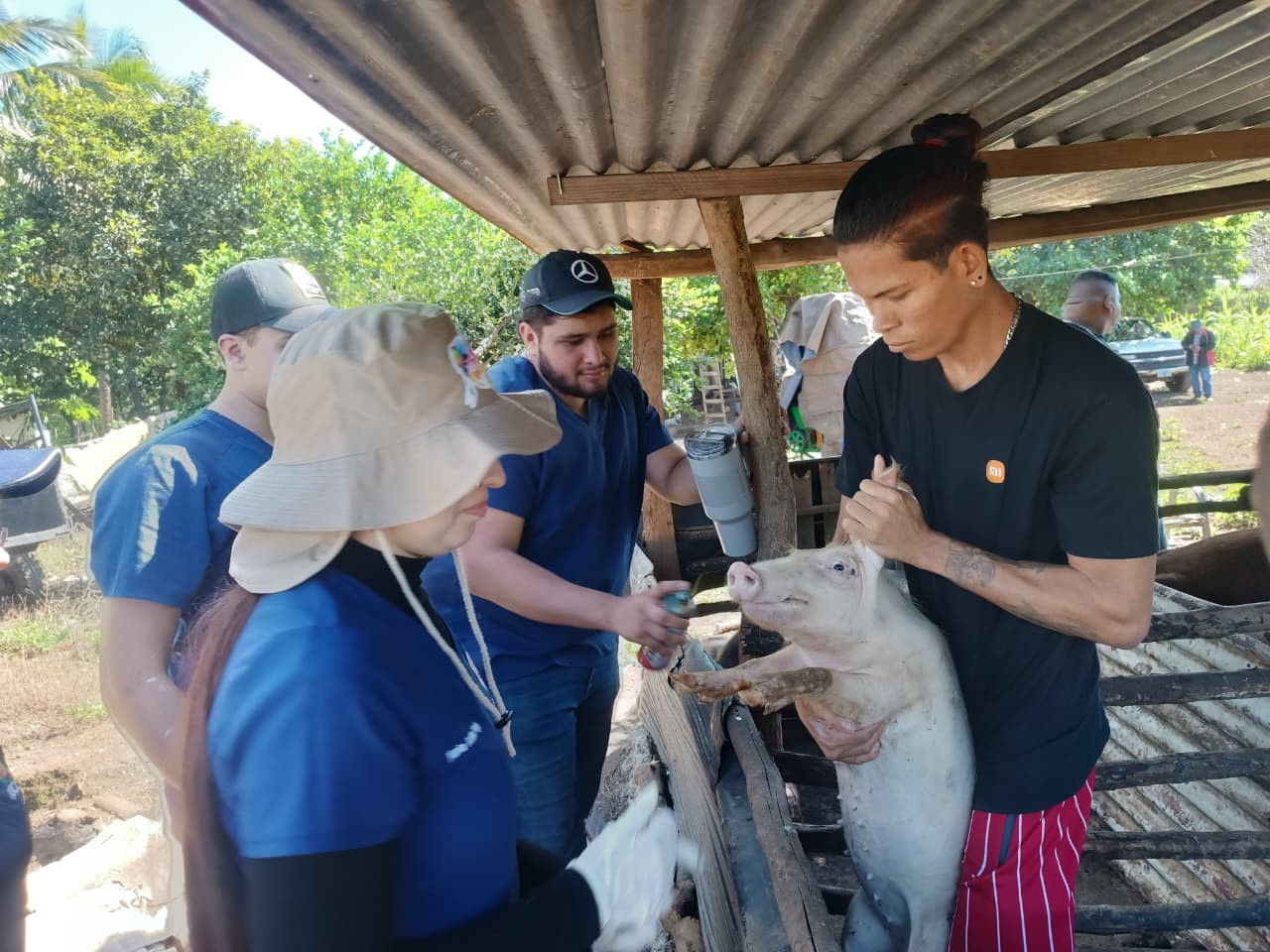 VETERINARIA9