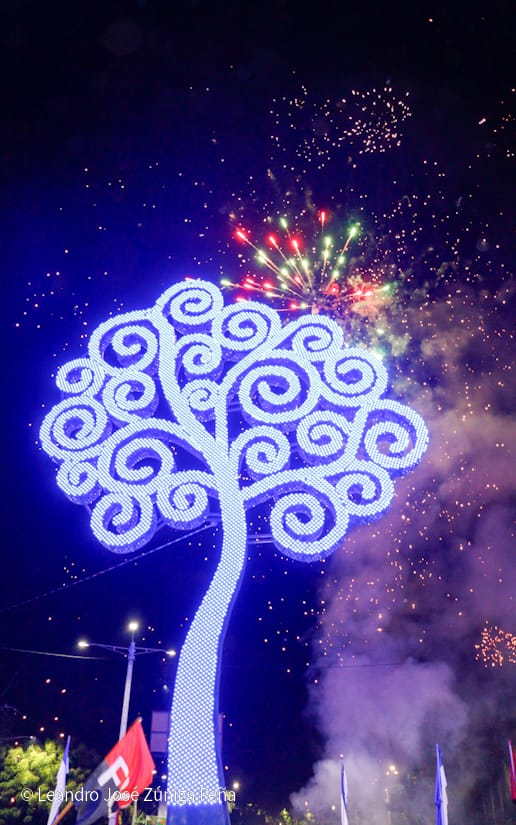 ARBOL-(3)