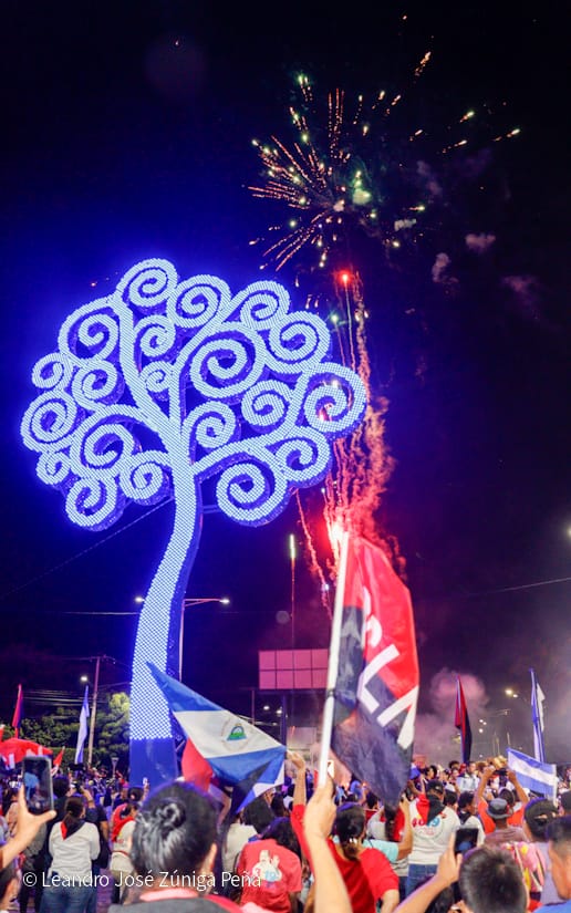 ARBOL-(6)
