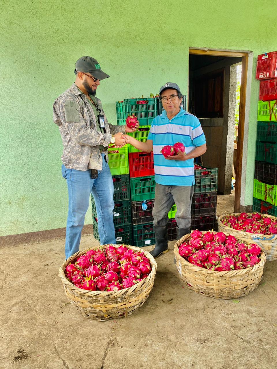 PITAYA4