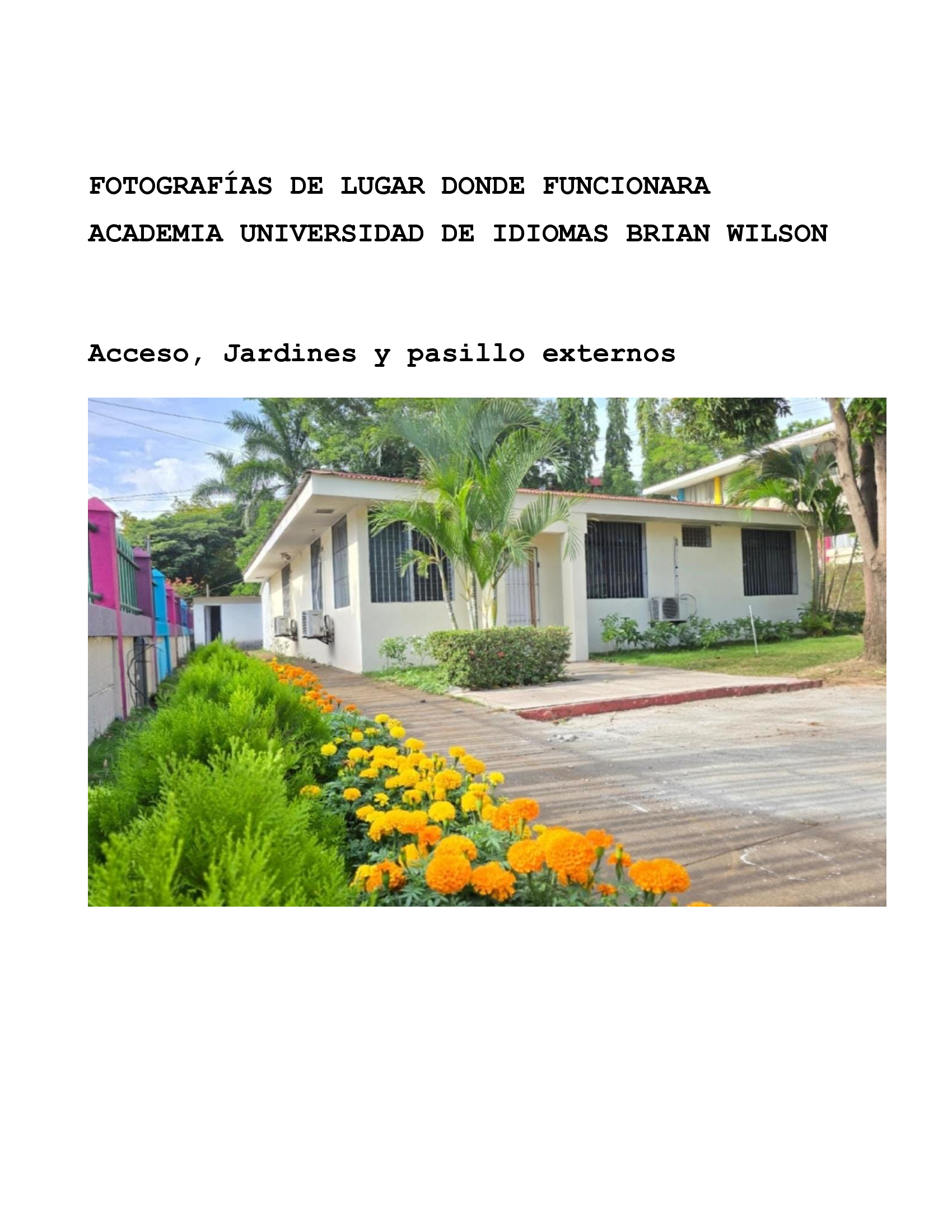 ACADEMIA1