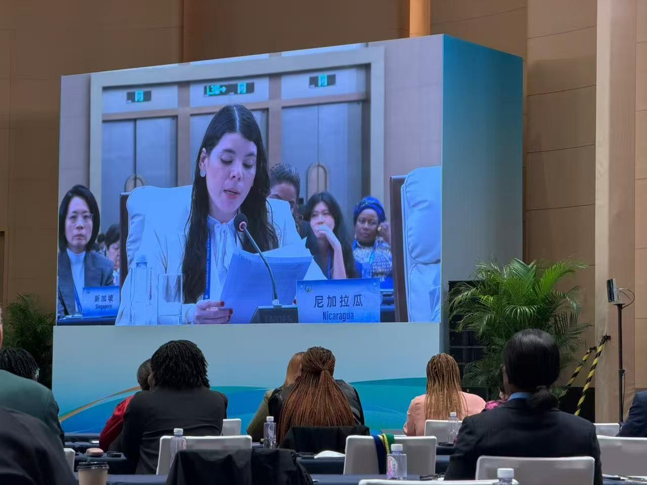 CHINA6