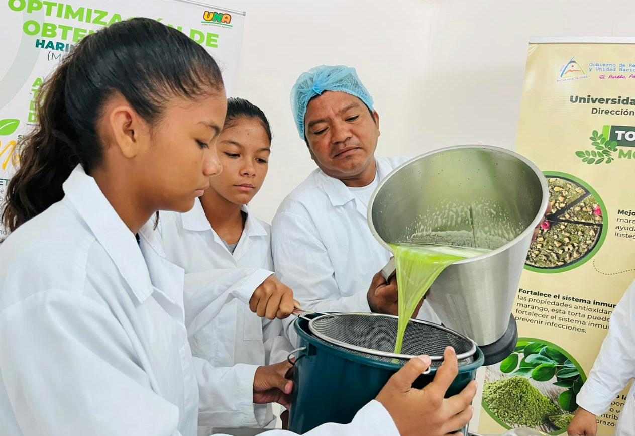 MORINGA4