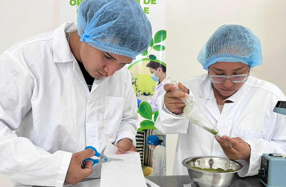 MORINGA5