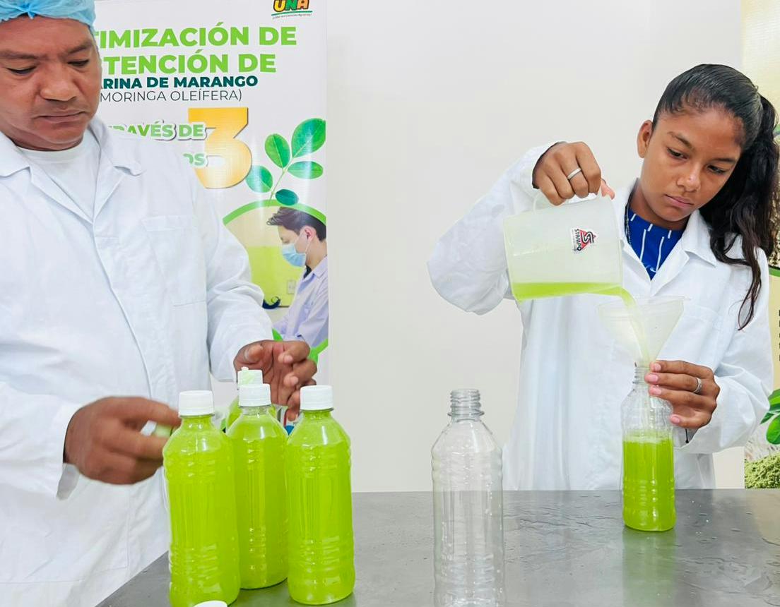 MORINGA6