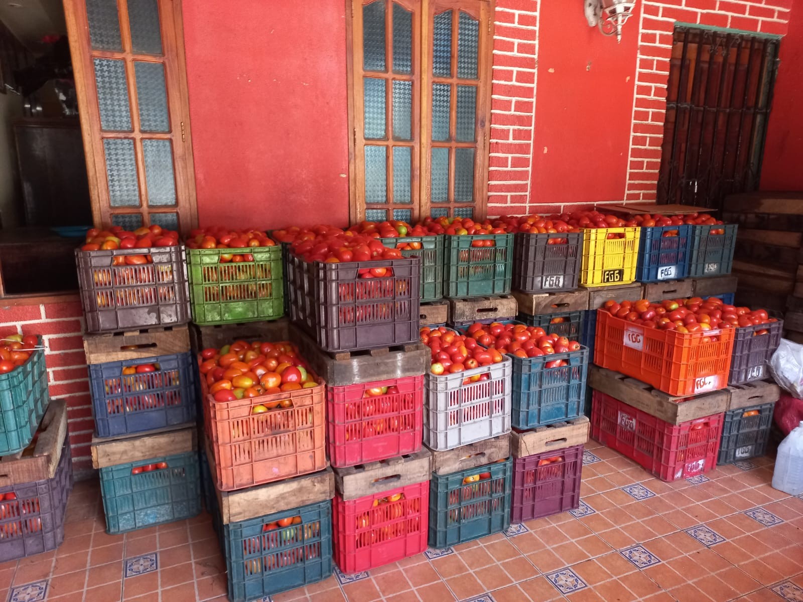 TOMATE5