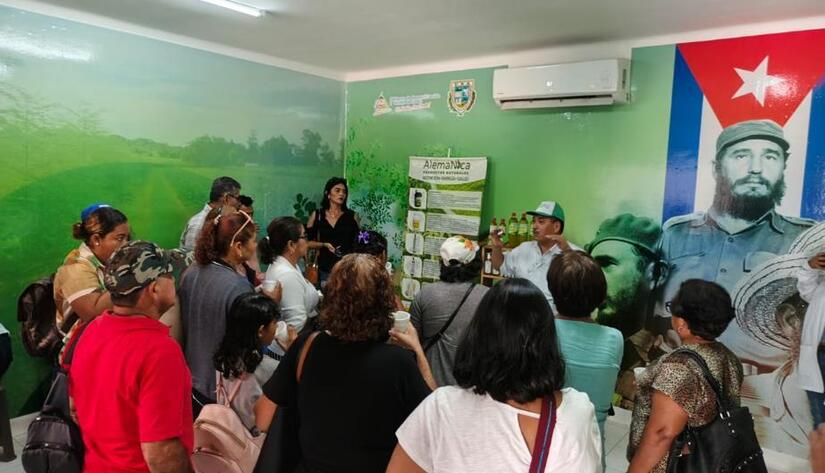MORINGA-(13)