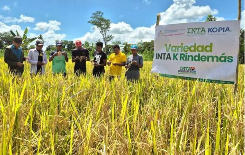 INTA4