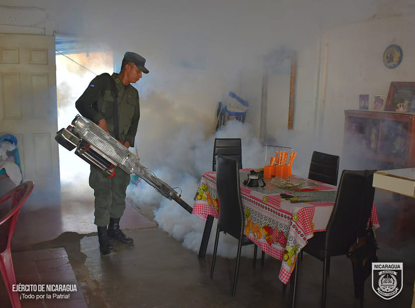 FUMIGACION1