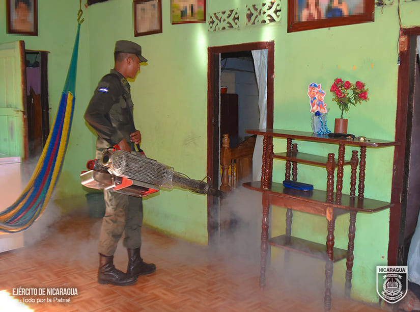 FUMIGACION3