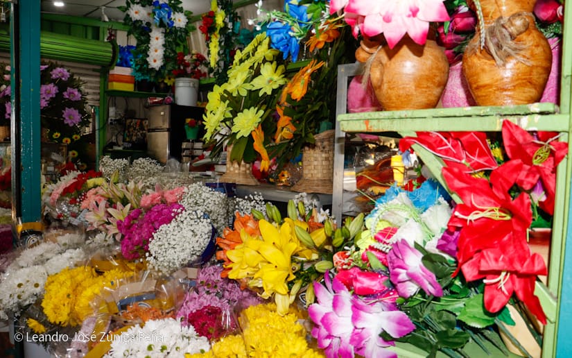 FLORES11