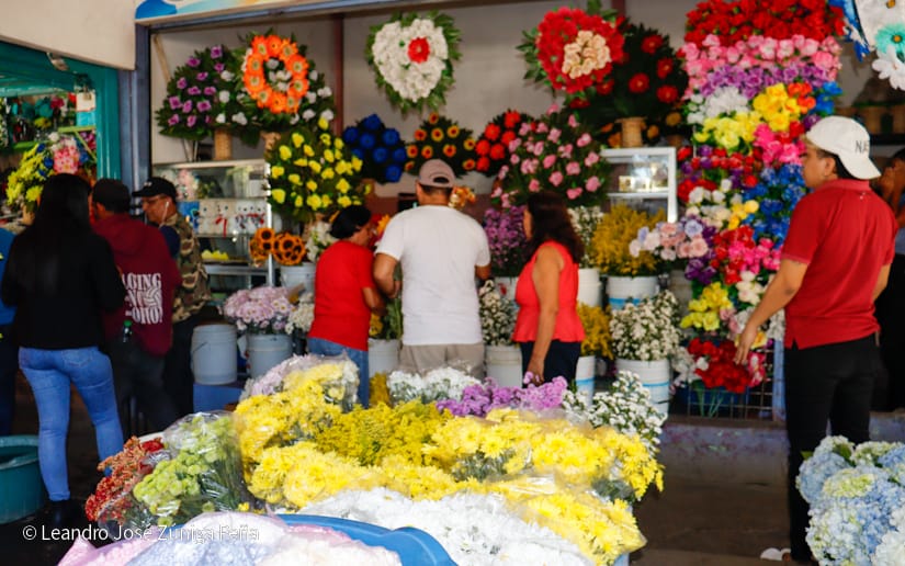 FLORES12