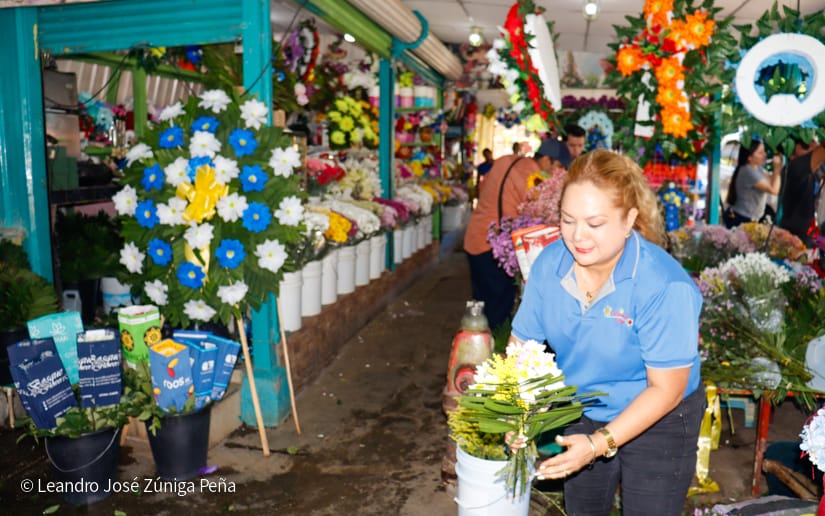 FLORES6