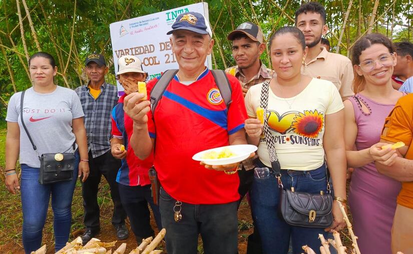 YUCA6