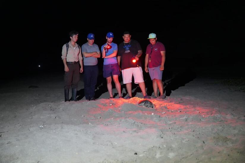 TORTUGAS-PASLAMA-2
