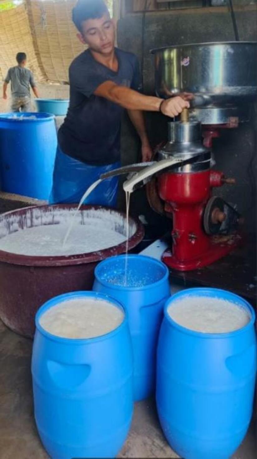 LECHE2