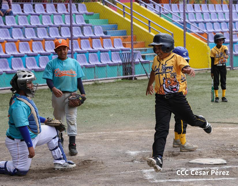 BEISBOL-(14)