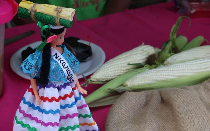 HUIPIL-(6)