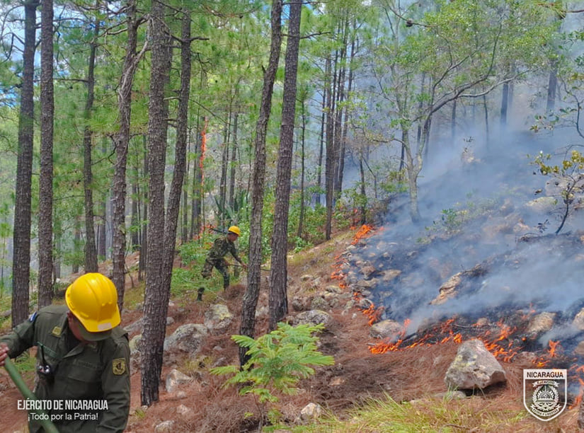 INCENDIO2