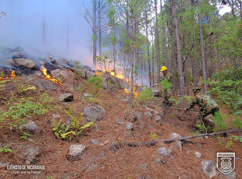 INCENDIO3