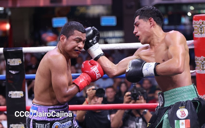 BOXEO-(10)