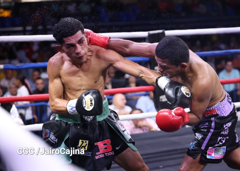 BOXEO-(8)
